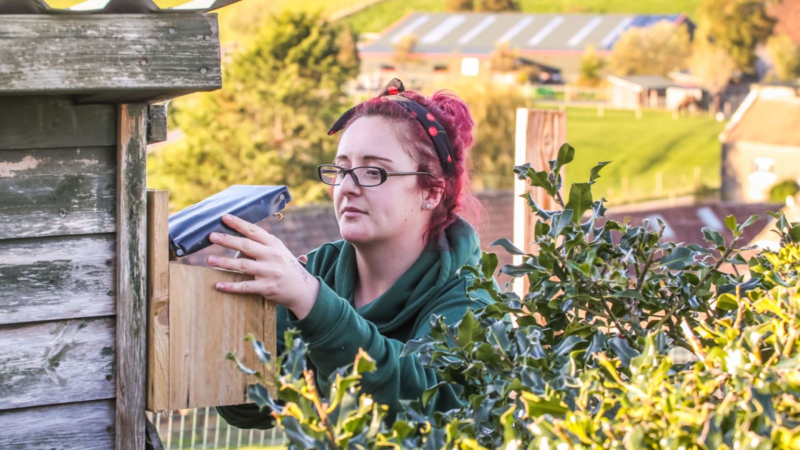  Keeper Ashley looking in to a nest box CREDIT Doug Evens